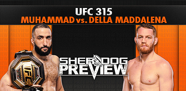 UFC 315 Preview